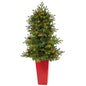 56' Yukon Mountain Fir Artificial Christmas Tree w/ 100 Clear Lights, Pine Cones