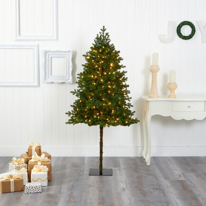 6' Swiss Alpine Artificial Christmas Tree w/ 250 Clear LED Lights