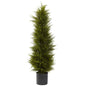 42' Cedar Tree