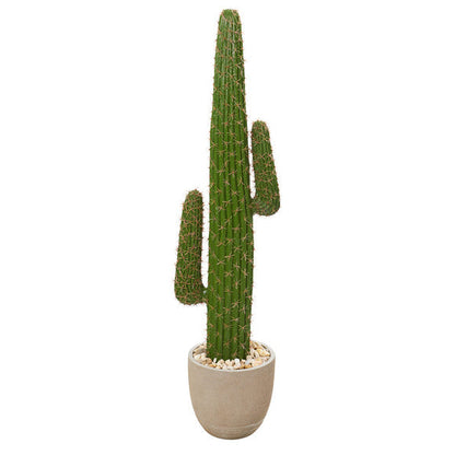 56" Cactus Artificial Plant in Sandstone Planter