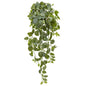 36"  Fittonia Hanging Bush Artificial Plant (Set of 2) (Real Touch)