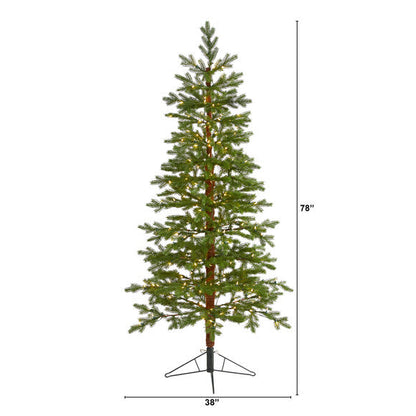 6.5' Fairbanks Fir Artificial Christmas Tree w/250 Clear Warm LED Lights
