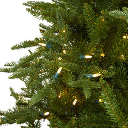 7.5' Cambridge Fir Artificial Christmas Tree with 800 Clear Warm LED Lights