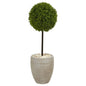 3' Boxwood Ball Topiary Artificial Tree in Oval Planter UV Resistant