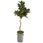 61" Magnolia Artificial Tree in Vintage Metal Planter