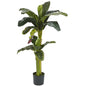 5'+3' Banana Silk Tree w/Bananas