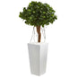 45' Ficus Artificial Tree in White Tower Planter