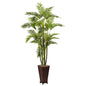 6.5' Areca w/Decorative Planter