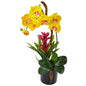 Orchid and Bromeliad in Glossy Black Cylinder