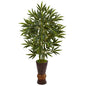 5' Bamboo Tree in Bamboo Planter