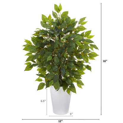 16" Mini Ficus Artificial Tree in White Planter