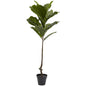 4' Fiddle Leaf Tree UV Resistant (Indoor/Outdoor)