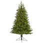 5' Cambridge Fir Artificial Christmas Tree with 300 Clear Warm LED Lights