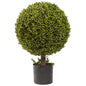 27' Boxwood Ball Topiary
