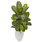 48"  Dieffenbachia Artificial Plant in White Planter (Real Touch)