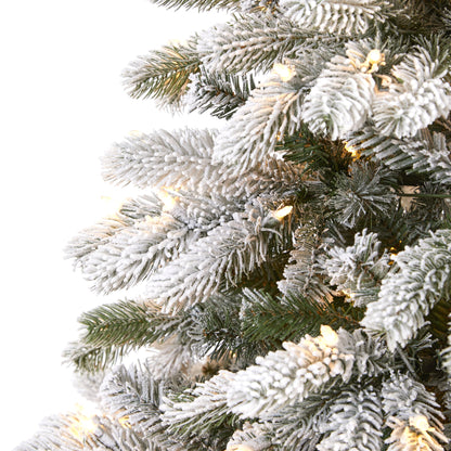7.5' Flocked South Carolina Spruce Artificial Christmas Tree w 600 Clear Lights