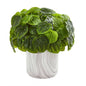 Peperomia Artificial Plant in Marble Vase (Real Touch)