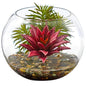 Mixed Succulent Artificial Plant in Round Glass Vase