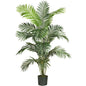 6' Paradise Palm