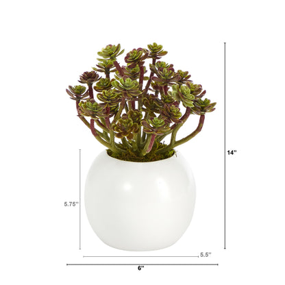 7" Sedum Succulent Artificial Plant in White Planter