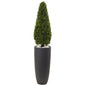 50"  Boxwood Topiary with Gray Cylindrical Planter UV Resistant (Indoor/Outdoor)