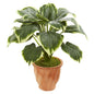 22' Variegated Hosta Artificial Plant in Terracotta Planter