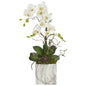 24" Phalaenopsis Orchid and Echeveria Succulent Artificial Arrangement