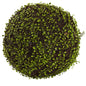 15"  Dia. Mohlenbechia Ball