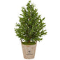38"  Olive Cone Topiary Artificial Tree in Farmhouse Planter