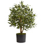 29" Olive Artificial Tree 5564 By Nearly Natural