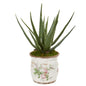 20"  Aloe Artificial Plant in Floral Design Planter