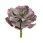8"  Echeveria Succulent Artificial Plant (Set of 6)