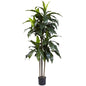 5' Dracaena Plant UV Resistant (Indoor/Outdoor)