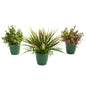 Eucalyptus, Grass and Sedum Artificial Plant in Green Planter (Set of 3)