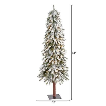5' Flocked Grand Alpine Artificial Christmas Tree with 200 Clear Lights