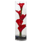20" Calla Lily in Cylinder Glass