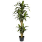 5' Yucca Silk Plant 6100 By Nearly Natural