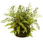 Mixed Fern w/Twig and Moss Basket