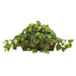 Pothos w/Ledge Basket