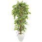 5.5' Elegant Ficus Artificial Tree in White Planter