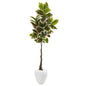 69"  Variegated Rubber Leaf Artificial Tree in White Planter (Real Touch)
