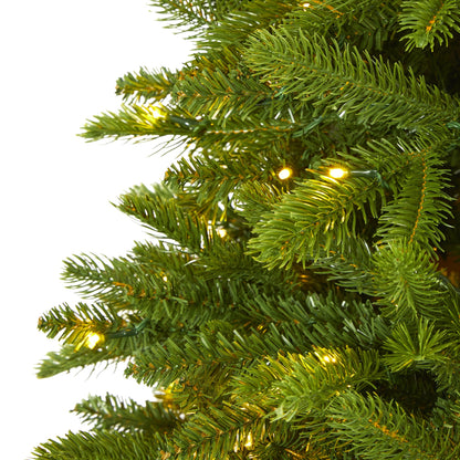6' Sierra Spruce 'Natural Look' Artificial Christmas Tree w/ 300 Clear LED Light