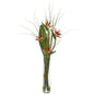 Bird of Paradise and Greens Artificial Arrangement