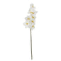 33" Phalaenopsis Orchid Artificial Flower (Set of 6)