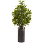 32"  Coffee Leaf Artificial Plant in Decorative Canister (Real Touch)