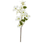 26"  Dogwood Artificial Flower (Set of 12)