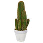 1.5"  Cactus Succulent Artificial Plant