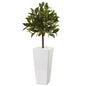 3' Sweet Bay Tree in White Tower Planter