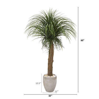5' Pony Tail Palm Artificial Plant in Sand Colored Planter