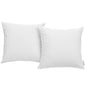 Convene 2 Piece Outdoor Patio Pillow Set by Modway
